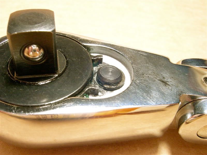 DSCN4669.jpg