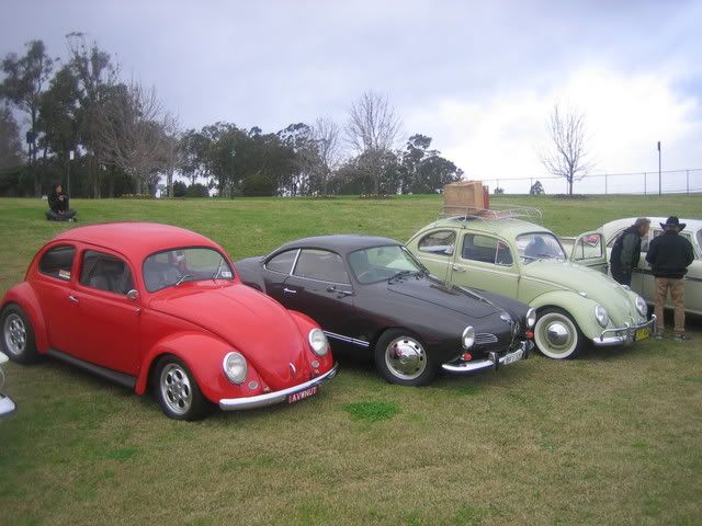 http://i115.photobucket.com/albums/n284/avwnut/IMG_7806.jpg