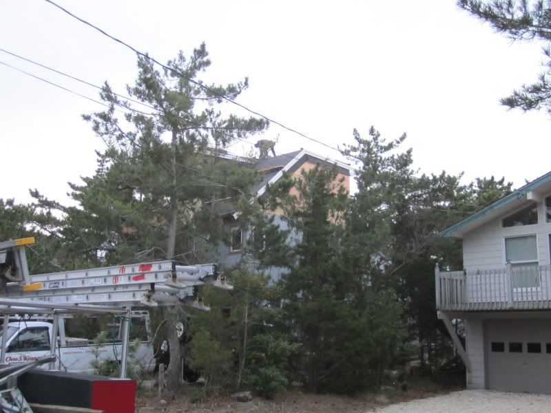 1210_1585.jpg