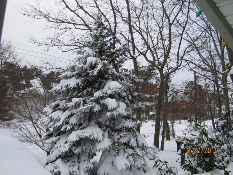 1227_2181.jpg