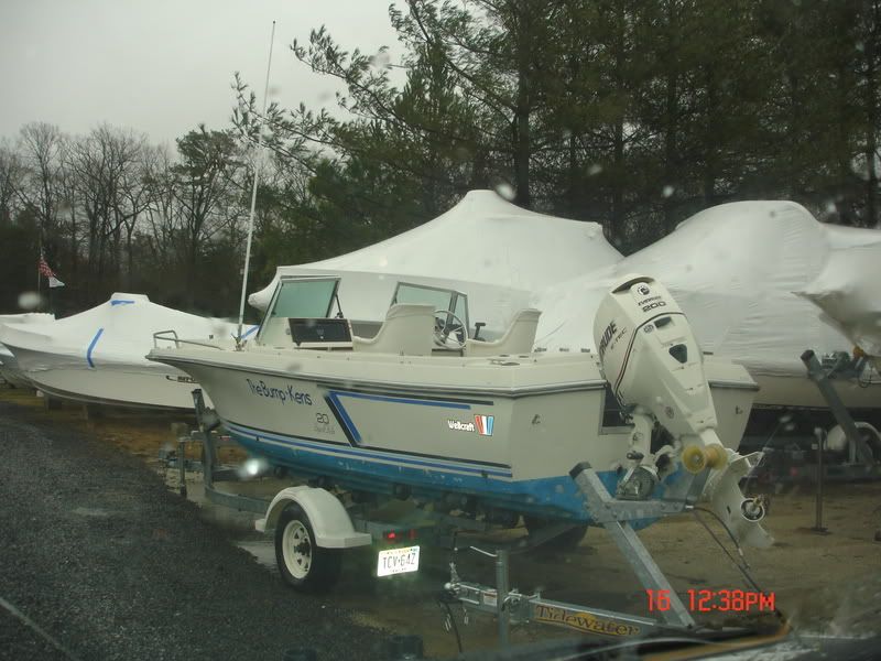DSC03234.jpg