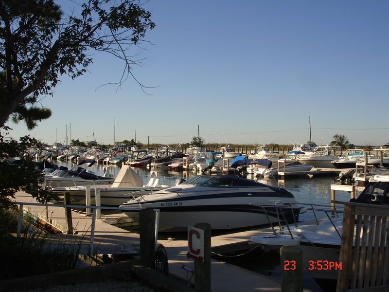 DSC04498.jpg