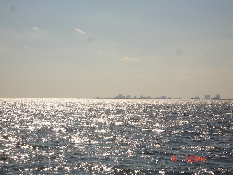 DSC04617.jpg