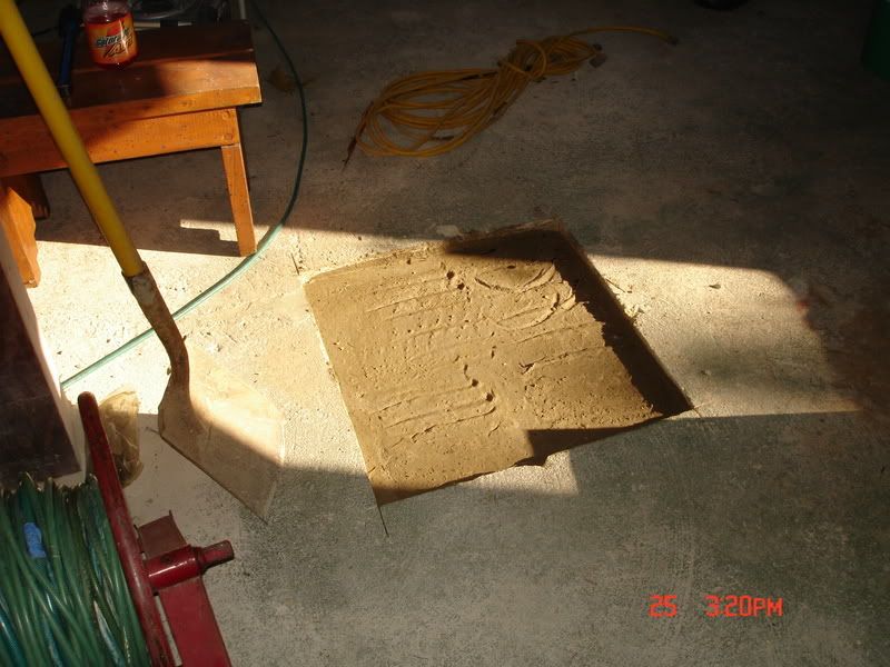 DSC05178.jpg