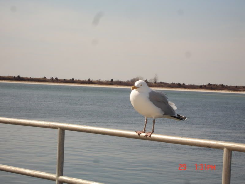 DSC05190.jpg