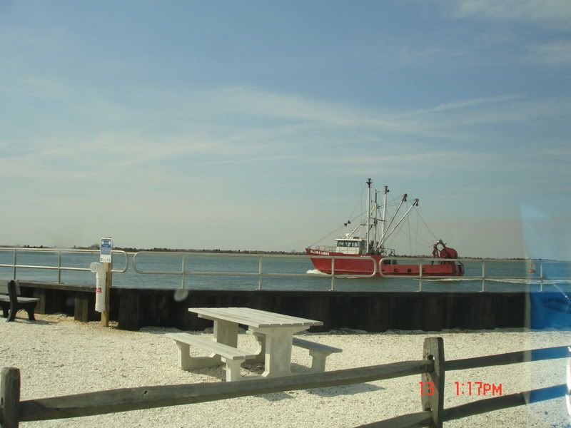 DSC05276.jpg