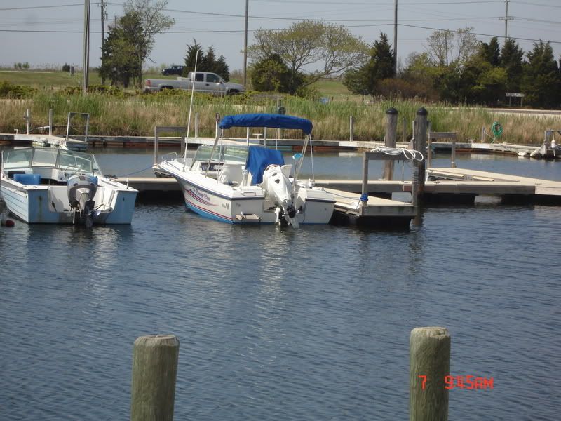 DSC05575.jpg