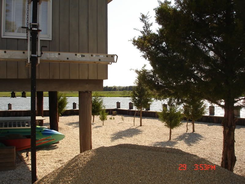 DSC05791.jpg