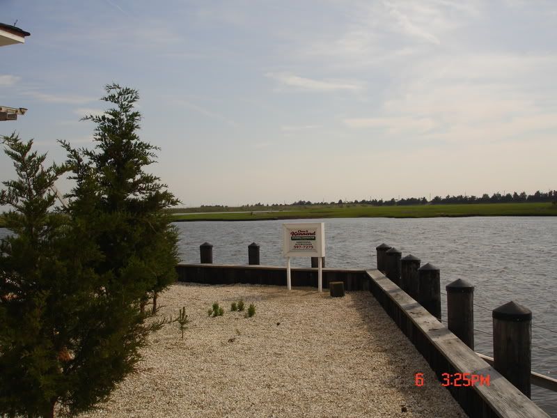 DSC05927.jpg