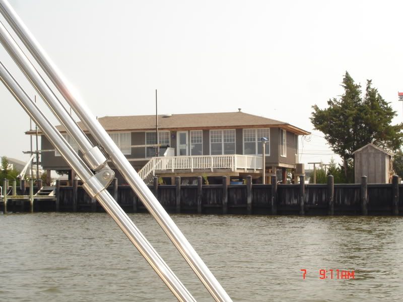 DSC05931.jpg