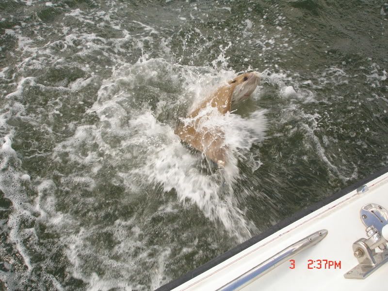 DSC06366.jpg