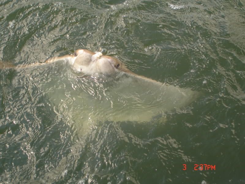 DSC06368.jpg