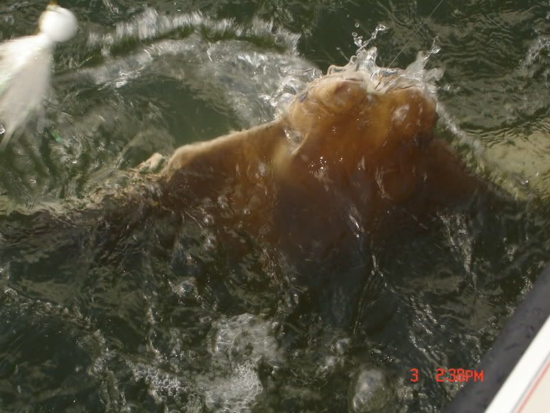 DSC06374.jpg