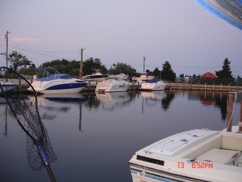 DSC06429.jpg
