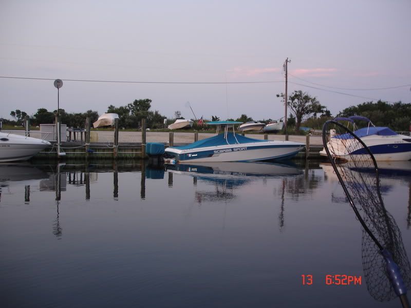 DSC06430.jpg