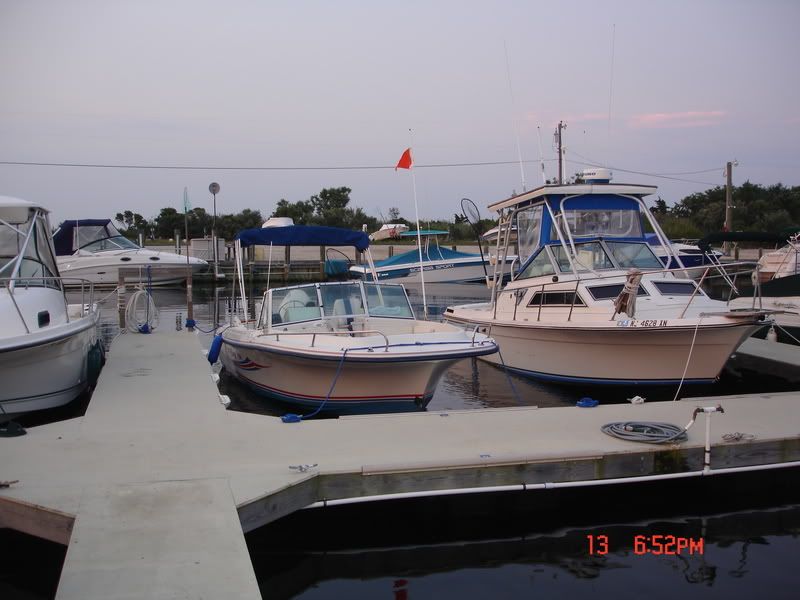 DSC06431.jpg