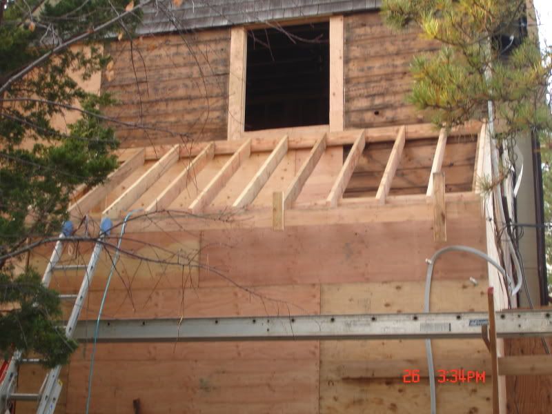 DSC07276.jpg