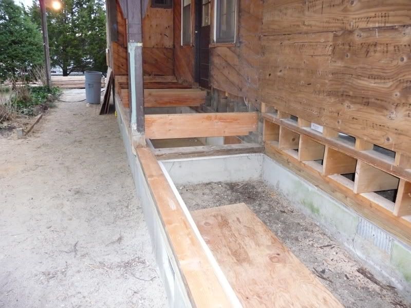P1000071.jpg