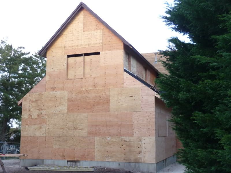 P1000360.jpg