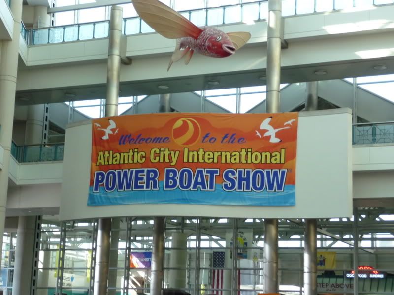 P1000834.jpg