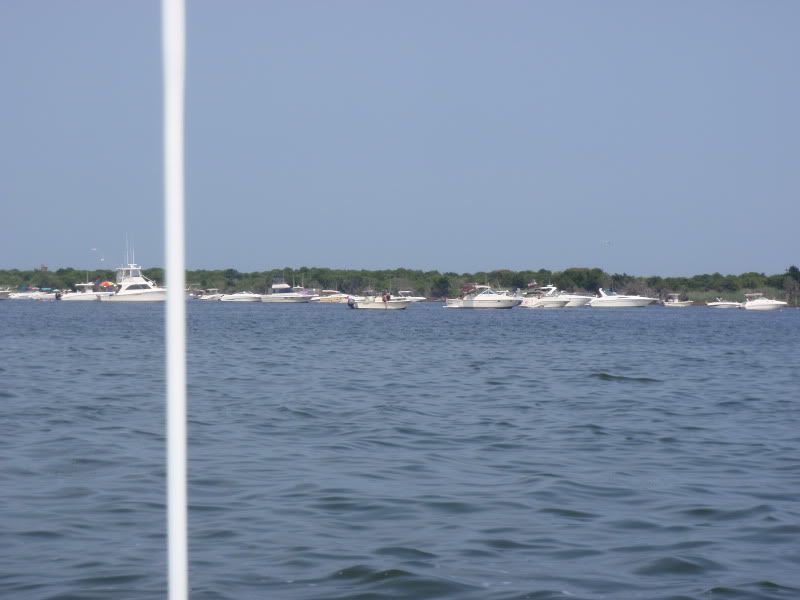 P7060014.jpg