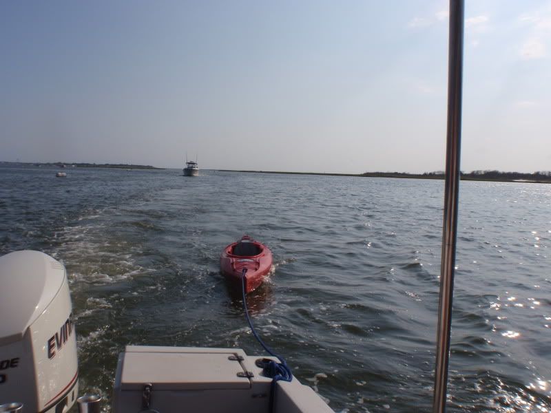 P8080231.jpg