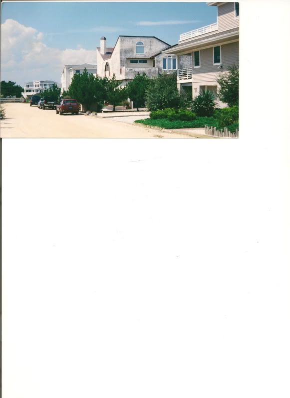 Top-81.jpg