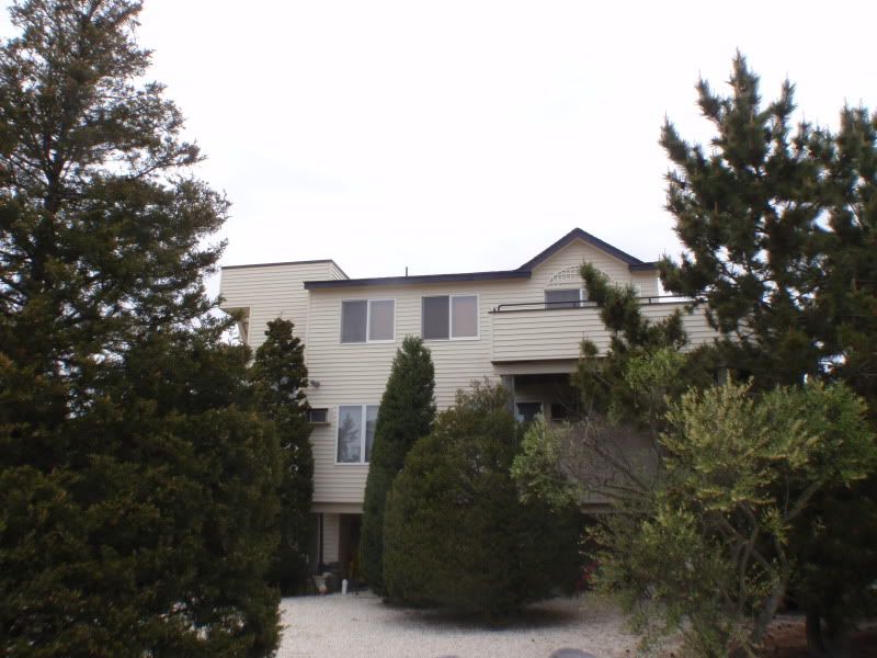 P4272062.jpg