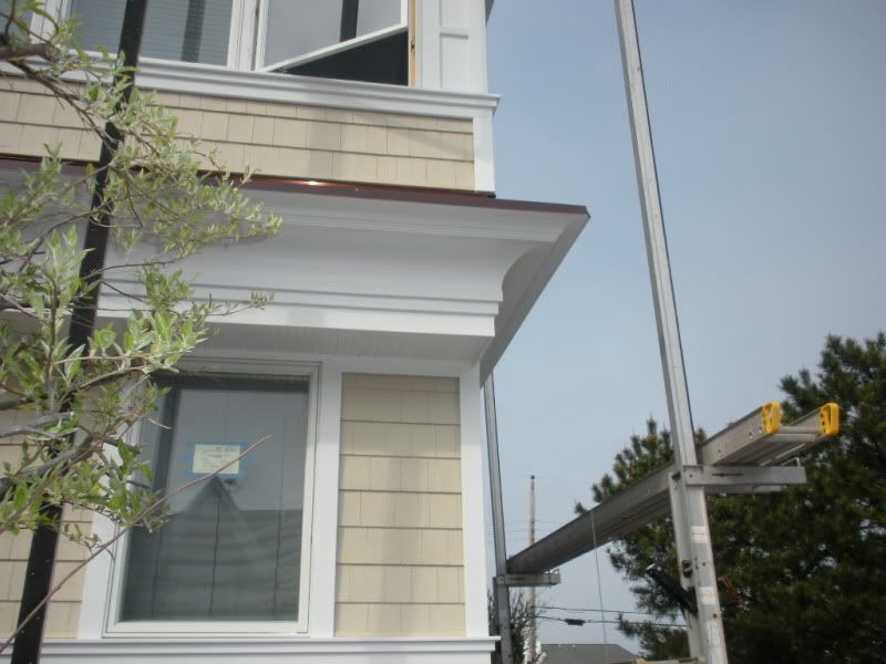 DSCN0982.jpg