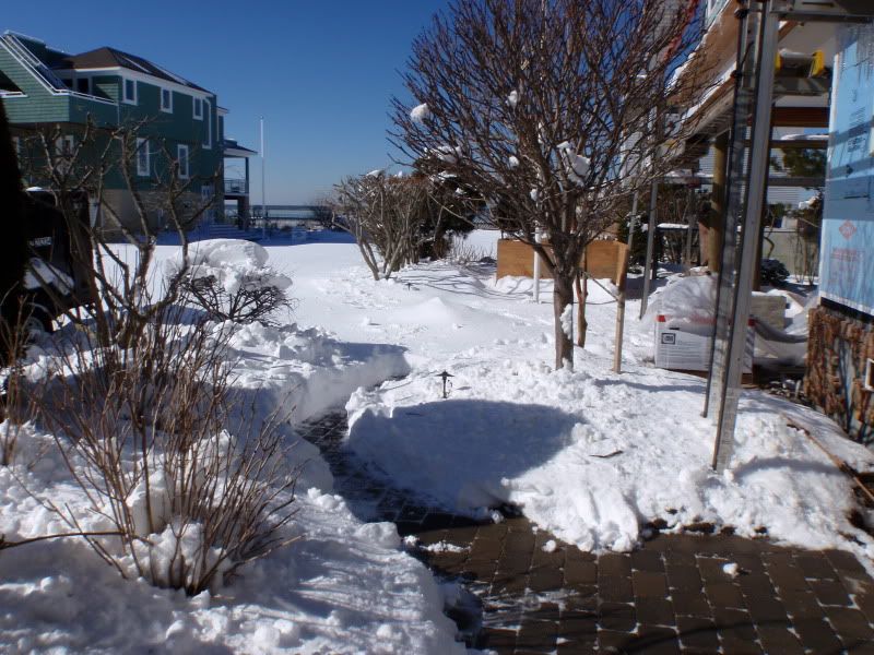 P2080008.jpg