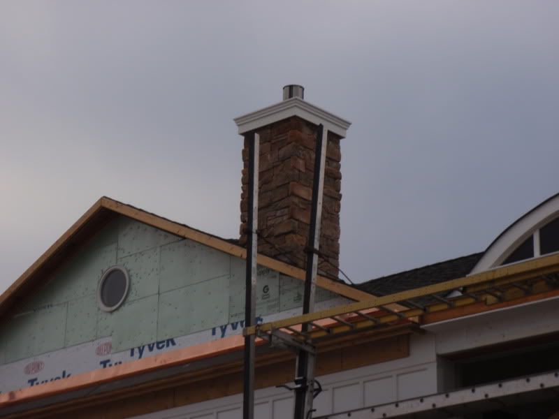 P3100004.jpg