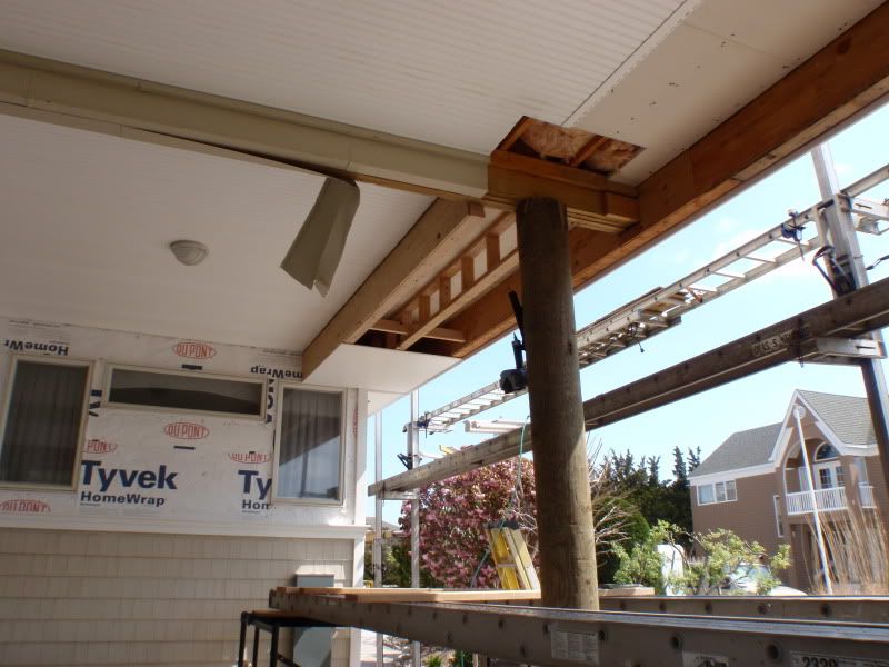 P4220003.jpg