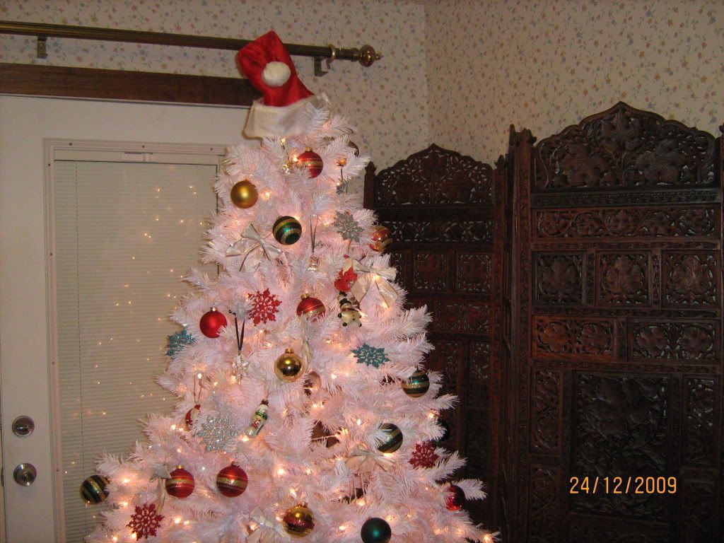 Christmas09058-1.jpg