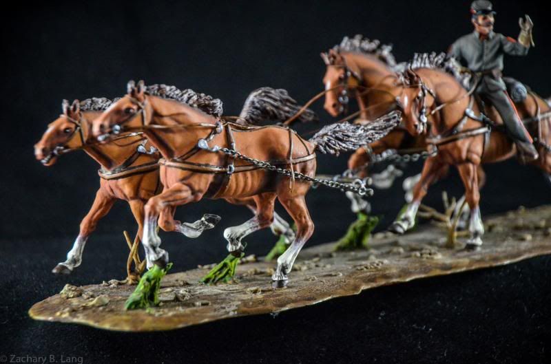 ConfederateHorseArtilleryUnit4.jpg