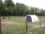 Cattle Panel Barn (or hoop house) - Homesteading Questions