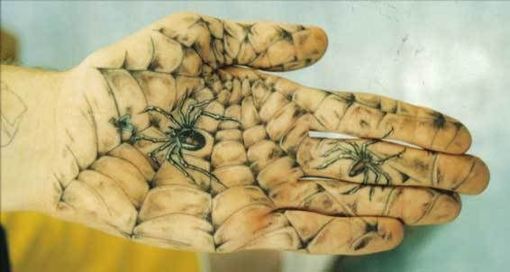 Spider Hand Pictures, Images and Photos