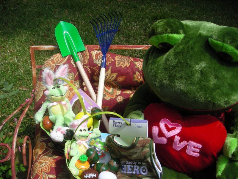 Busy li'l Philemon hatching frabbits