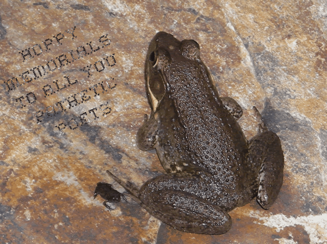 From F.R.O.G & froglet...