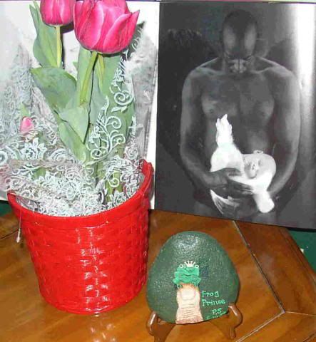 Photobucket - Video and Image Hosting