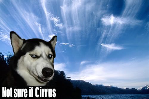 Cirrus.jpg