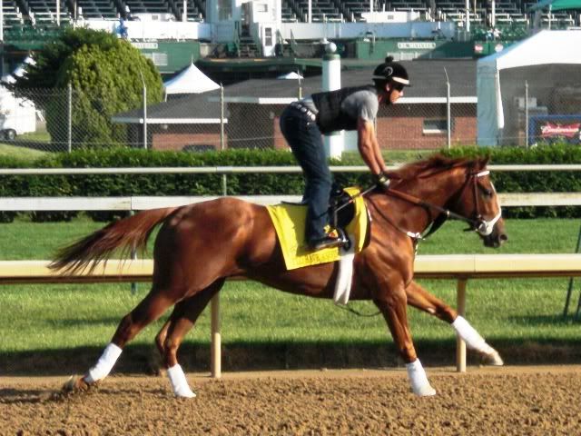 OZIllHaveAnothergallops5-2-12.jpg
