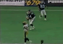 doublepwn.gif