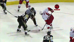 malkins_third-1.gif