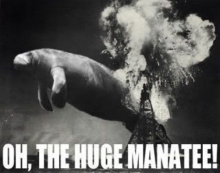 the_huge_manatee.jpg