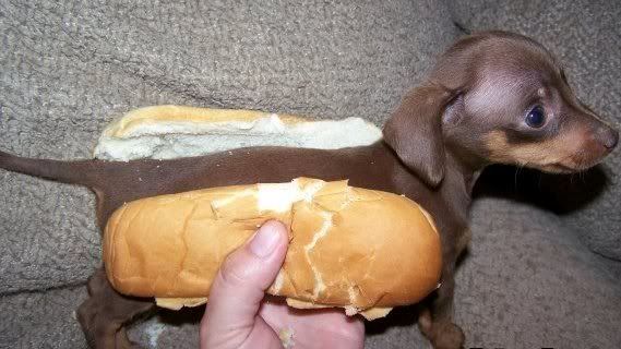 weiner.jpg