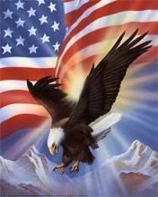 EAGLE FLAG Pictures, Images and Photos