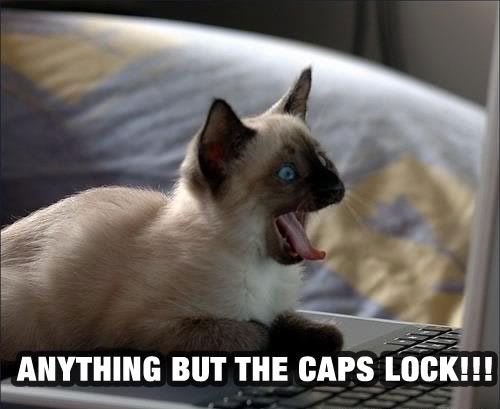 anythingbutthecapslock.jpg