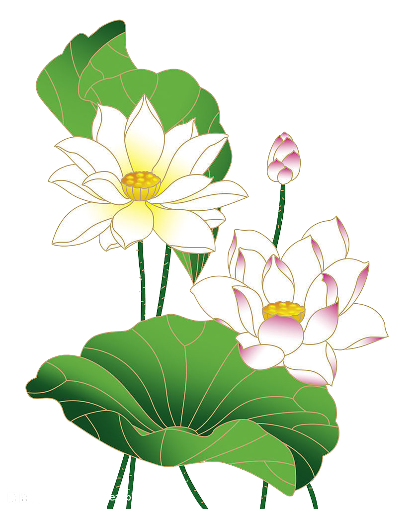 圖檔