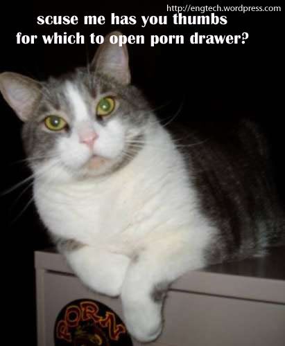 email-pam-a-porn-drawr-thumbs.jpg