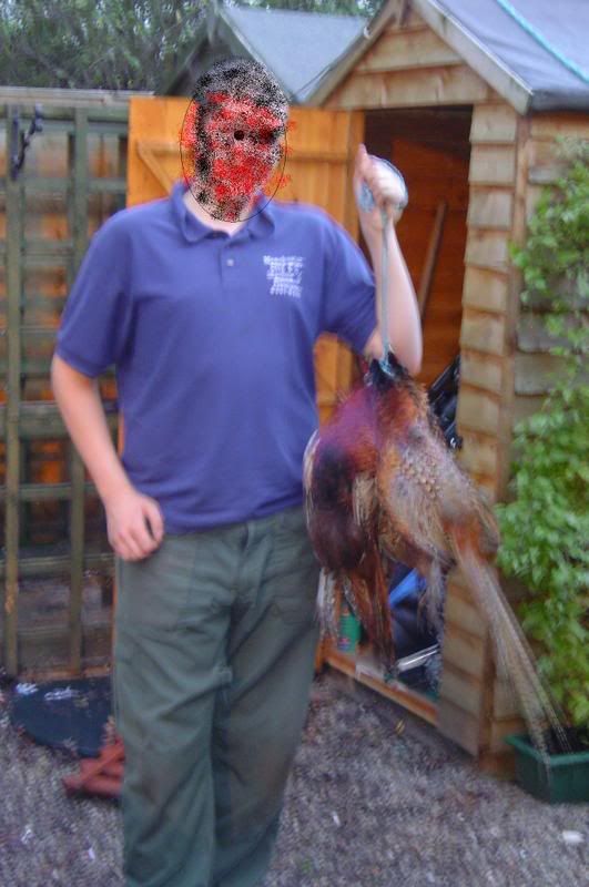 dandog017.jpg